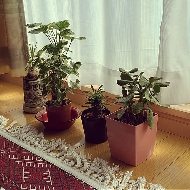 helmet_obake_chanさんの実例写真