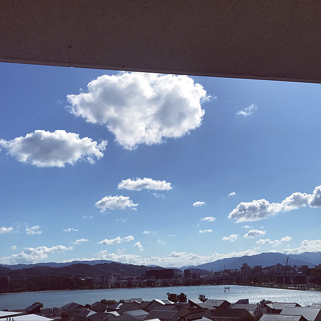 実例写真
