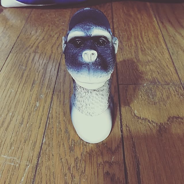 tommyさんの実例写真