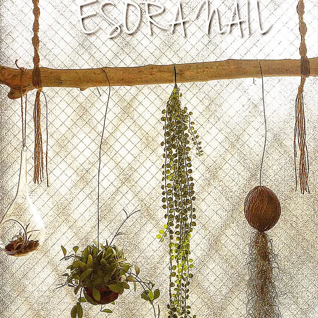 ESORANAILさんの実例写真