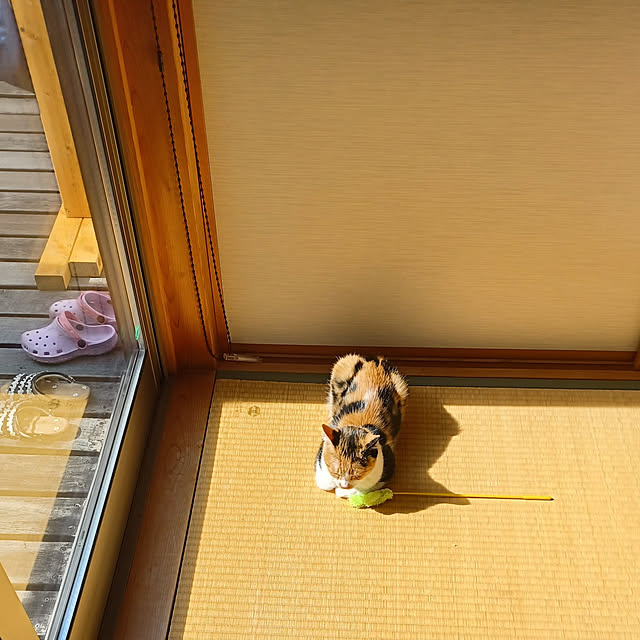 yellowさんの実例写真