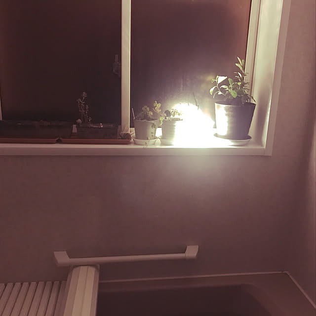 yukichiさんの実例写真