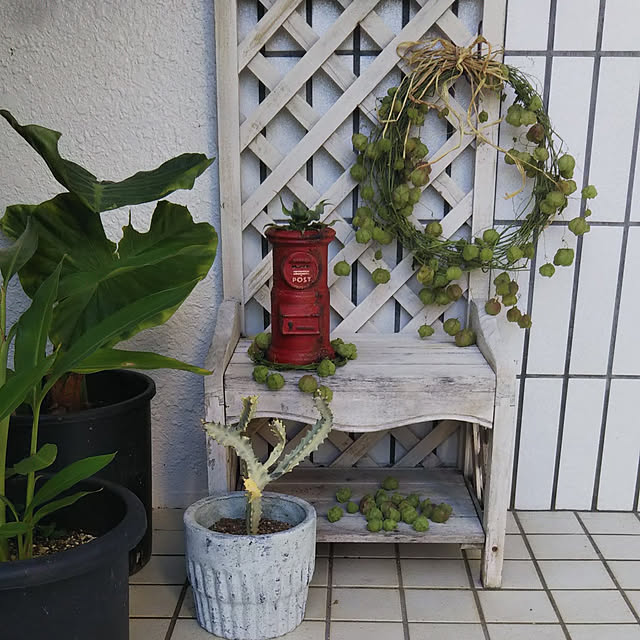 gabさんの実例写真