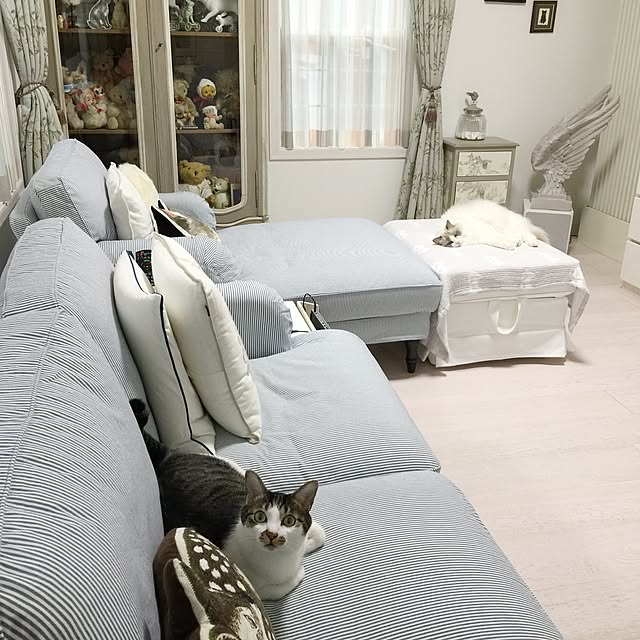 yuchiさんの実例写真