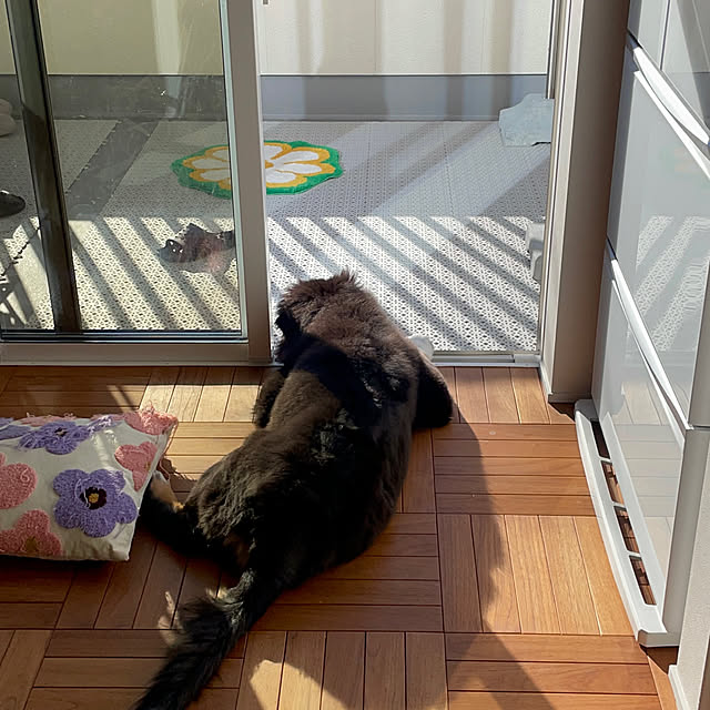 makiさんの実例写真