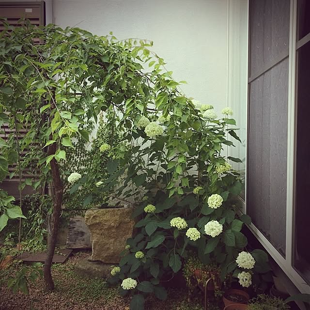 Makoさんの実例写真