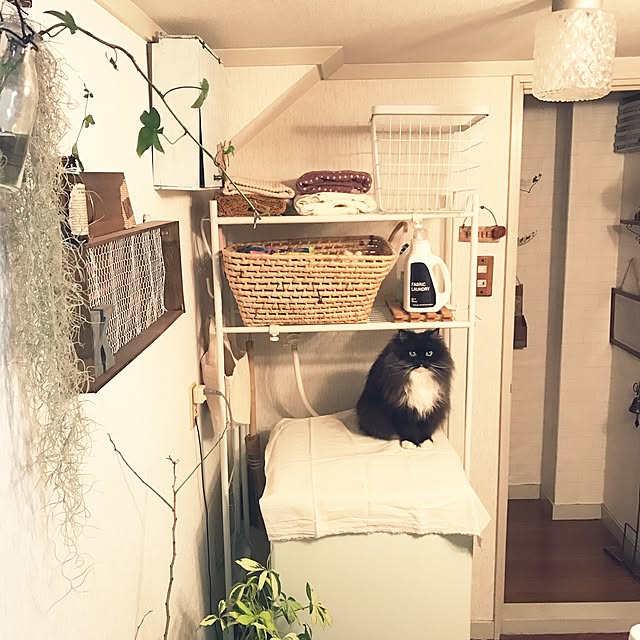 mucc08さんの実例写真