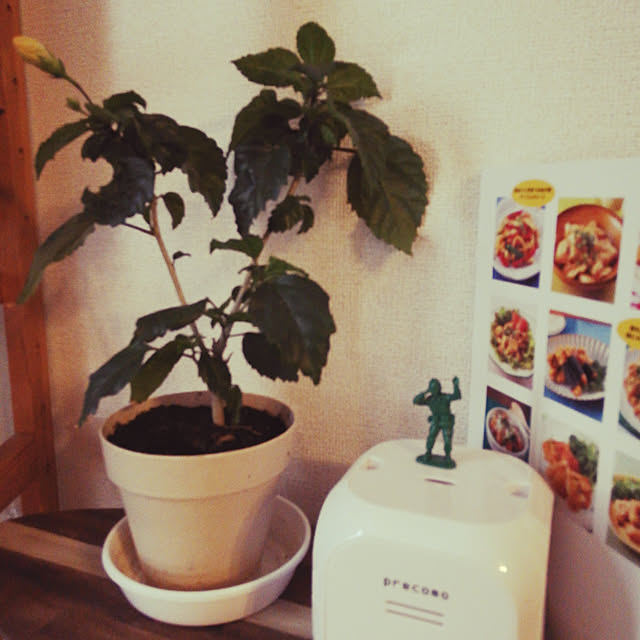 miho0623renrenさんの実例写真