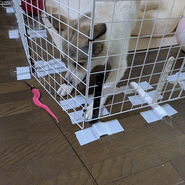 asaさんの部屋