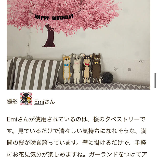 Emiさんの実例写真