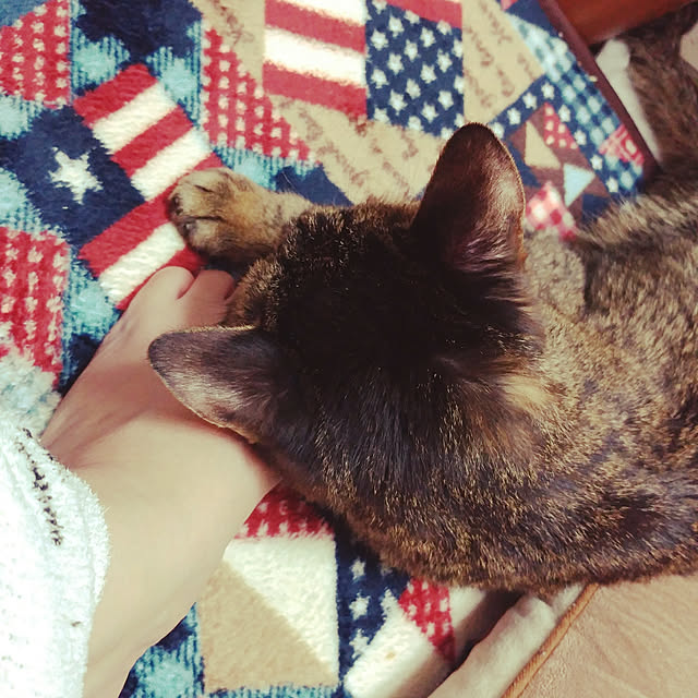 kittenblueさんの実例写真