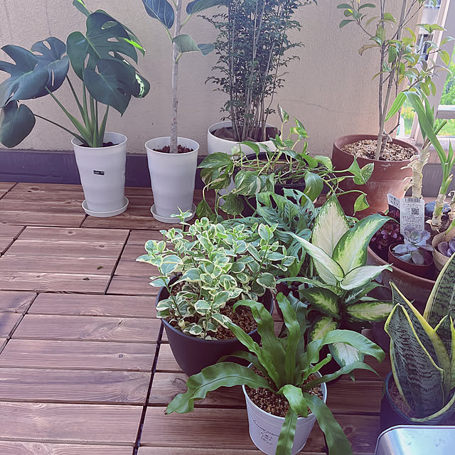 ookiniさんの部屋
