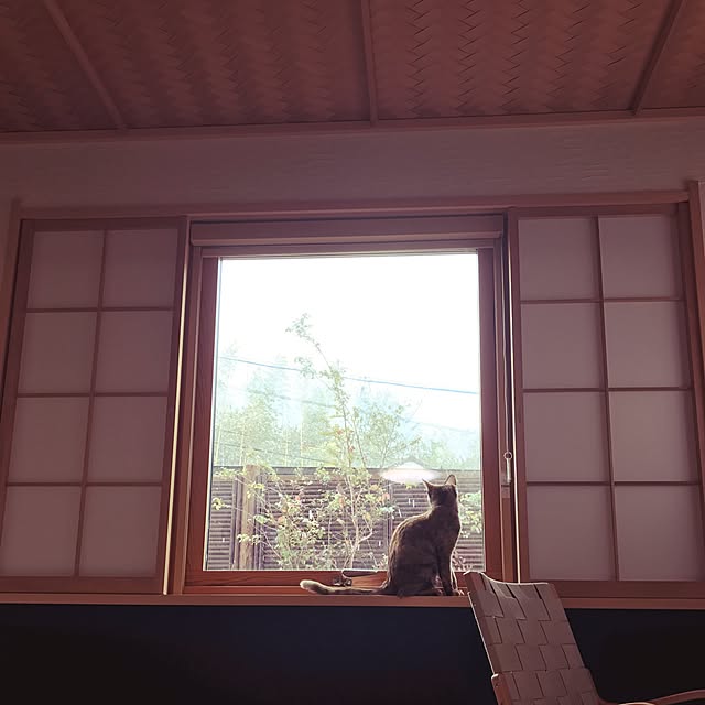 risaneko0126さんの実例写真