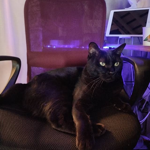 Tさんの実例写真