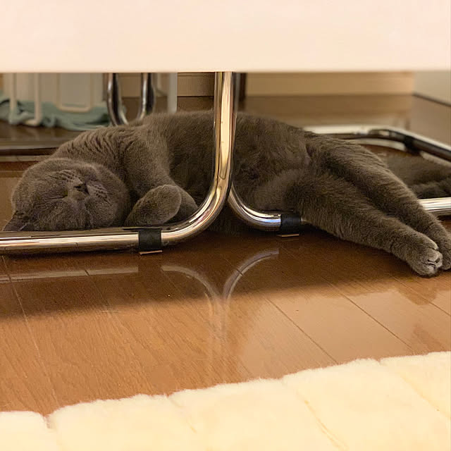 kittyさんの実例写真
