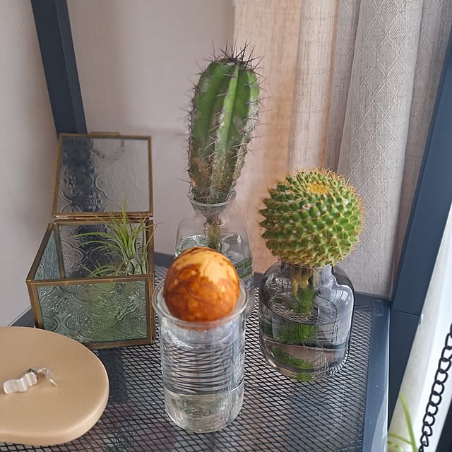 otokiさんの部屋