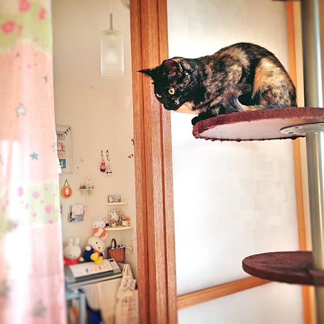 Lunaさんの実例写真