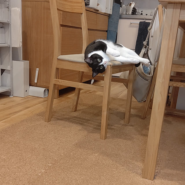 hihaさんの実例写真