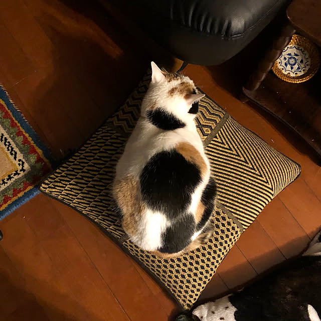 mmさんの実例写真