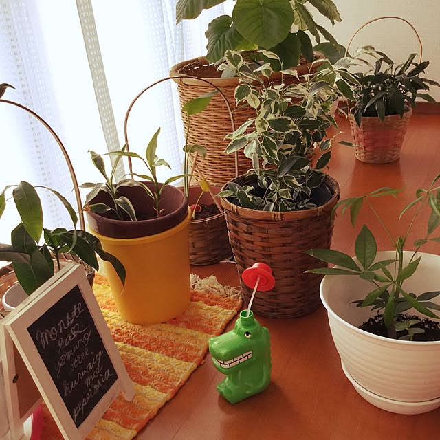 masayoさんの実例写真