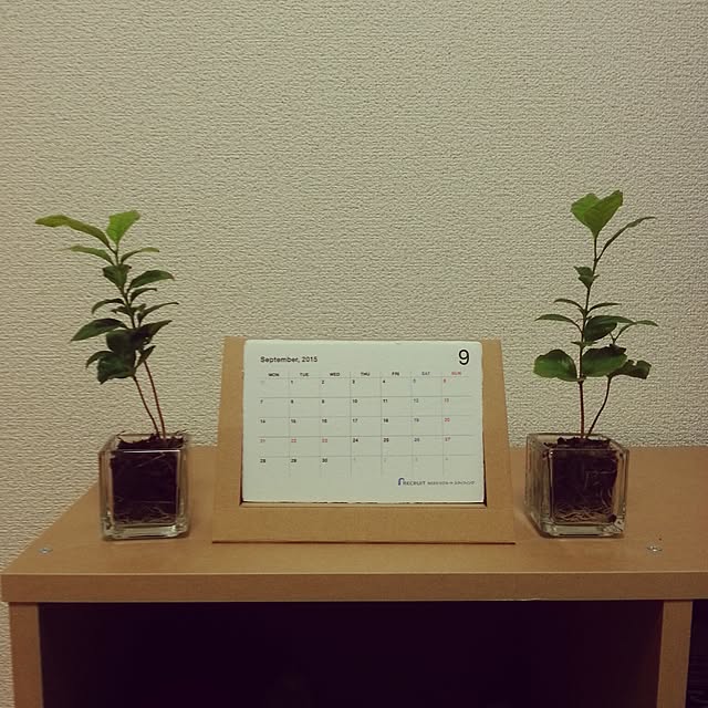 実例写真