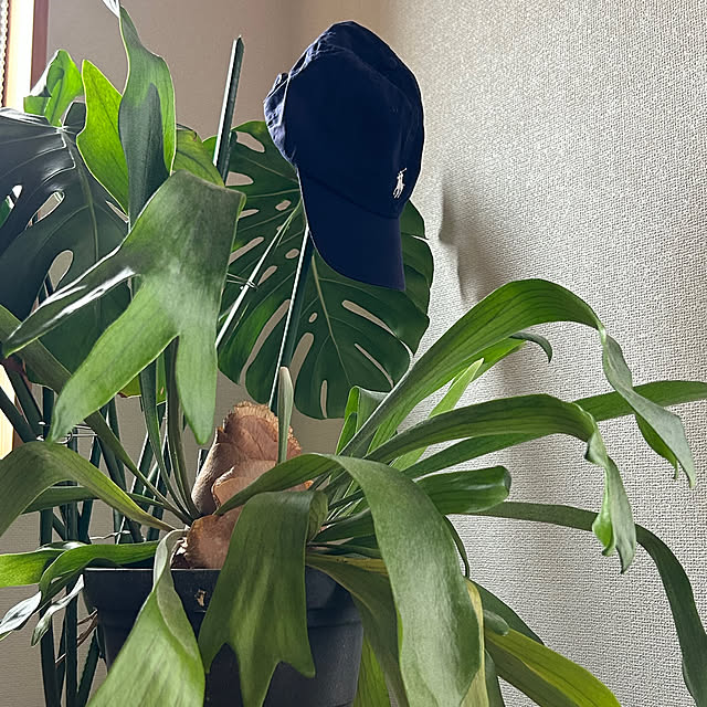 skhrさんの実例写真