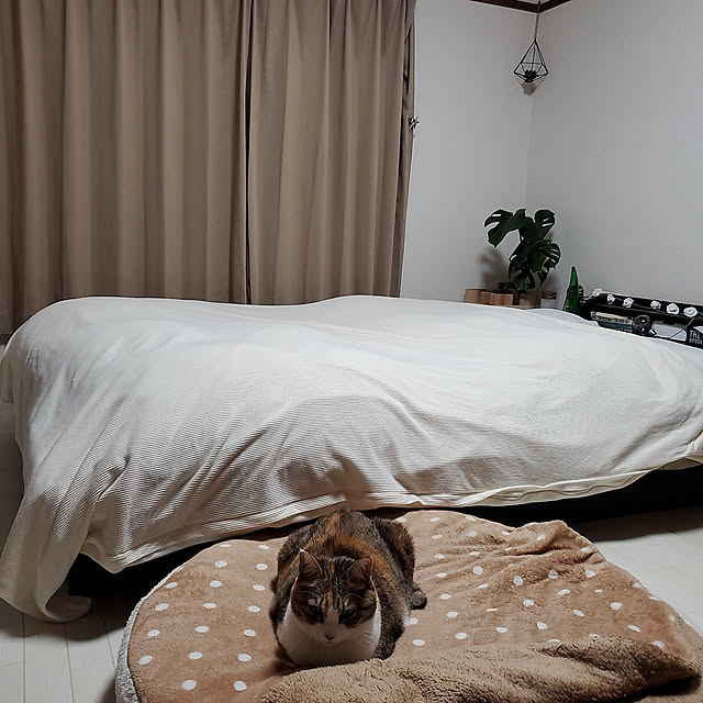 berariさんの実例写真