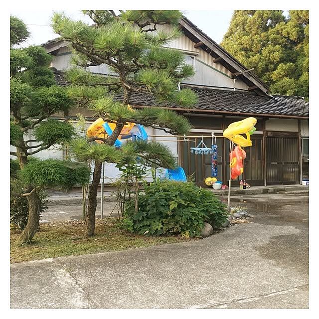 taitaiさんの実例写真