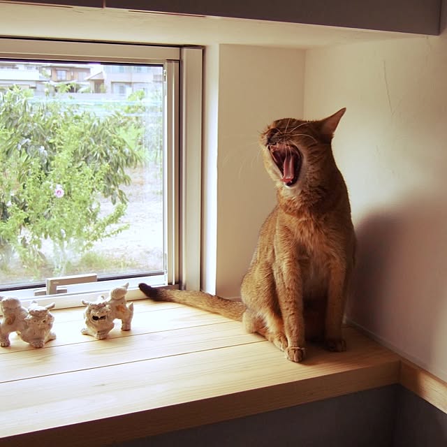 YUDYさんの実例写真