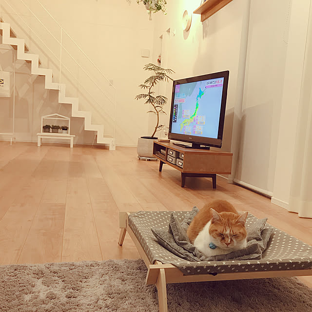 Yさんの実例写真