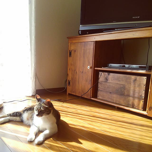 tomo1220さんの実例写真