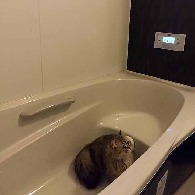 butachanさんの実例写真