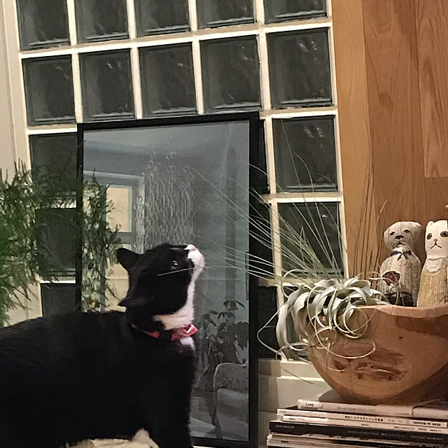 mtkさんの実例写真