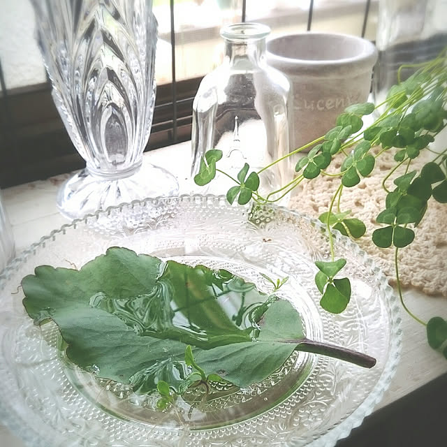 miho.okuさんの実例写真