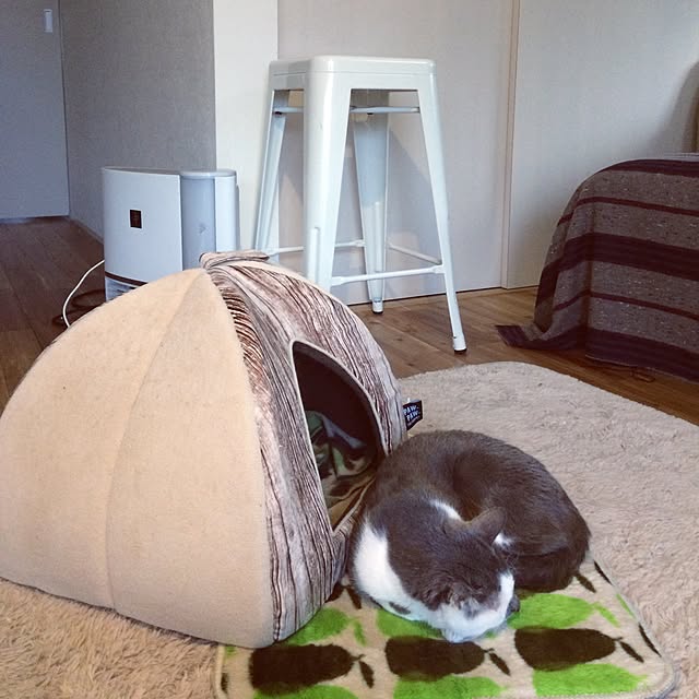 実例写真