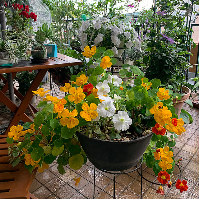 Aqettyさんの部屋