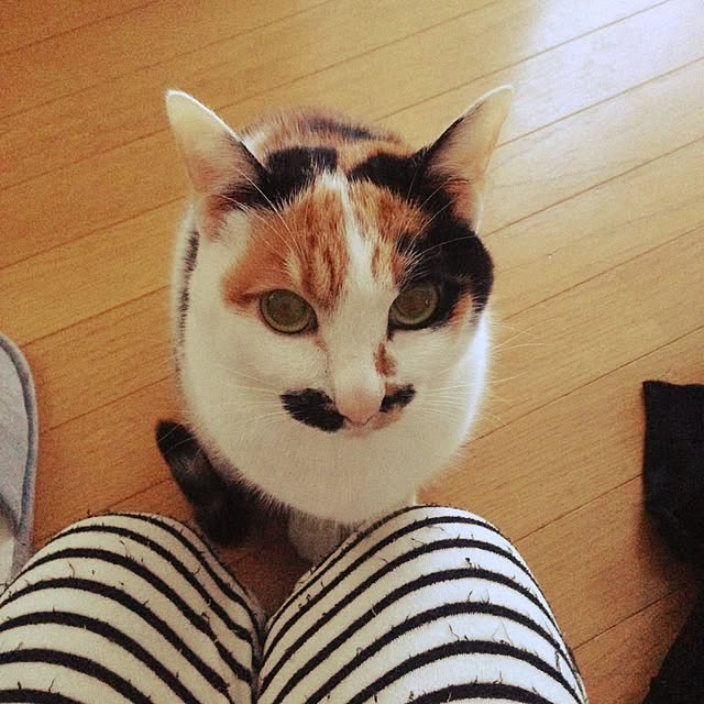 Kinanさんの実例写真