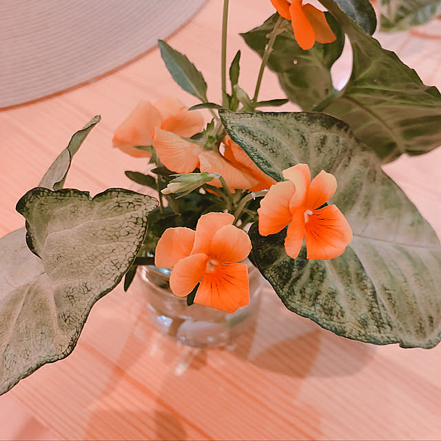 棚のインテリア実例 - 2018-05-03 18:39:59