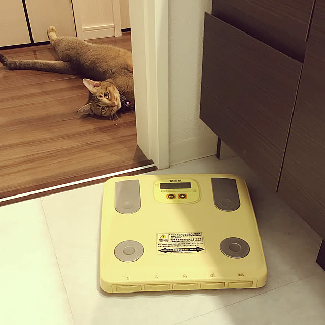 1633さんの実例写真