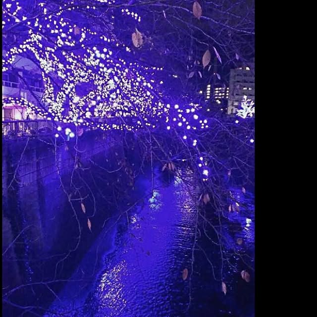 jnkaiさんの実例写真