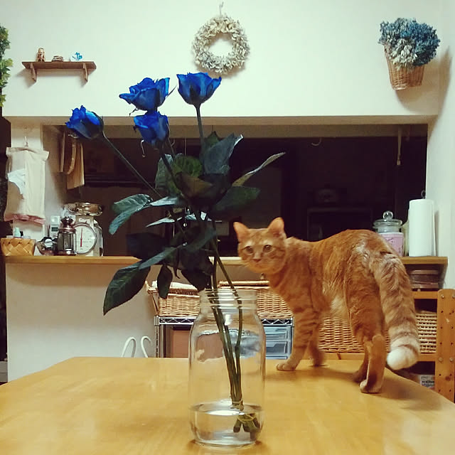 yum0408さんの実例写真