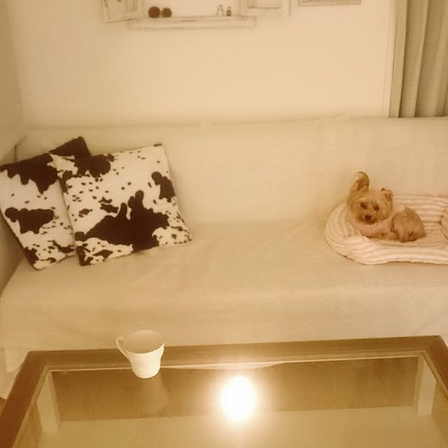 ayasweetさんの実例写真