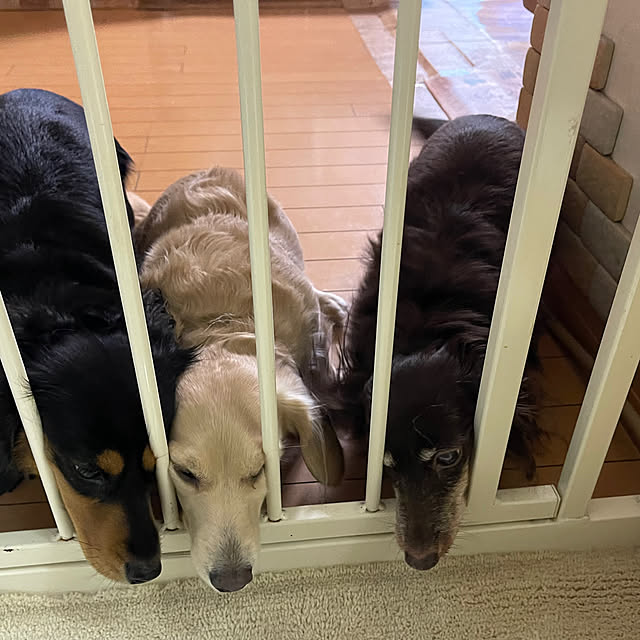 Luckyさんの部屋