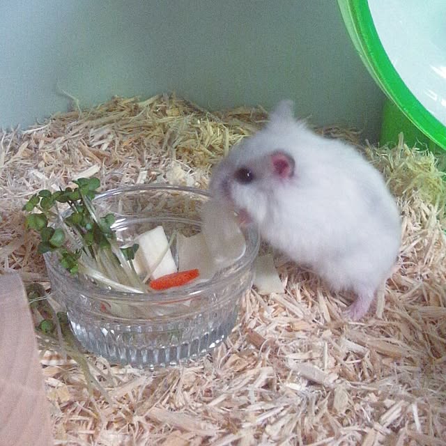MAAさんの実例写真