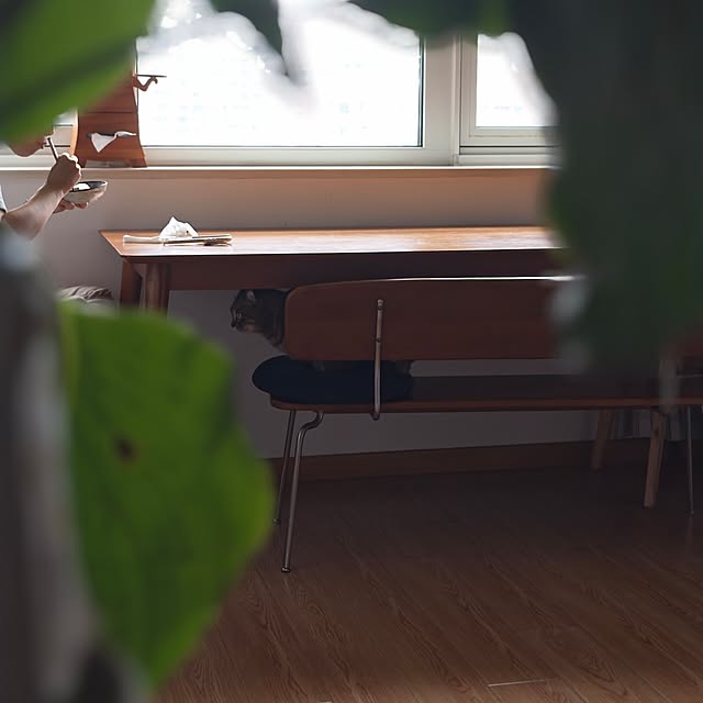 Allen0509さんの部屋