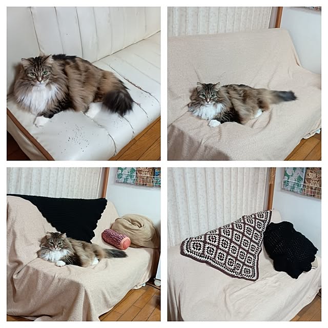 maruwataroさんの部屋