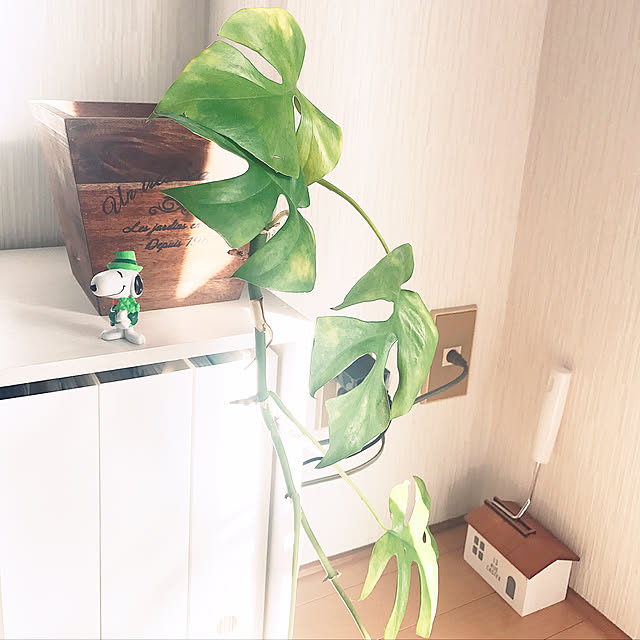 alohaさんの実例写真