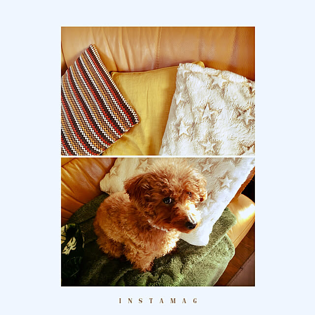 MIYUさんの実例写真