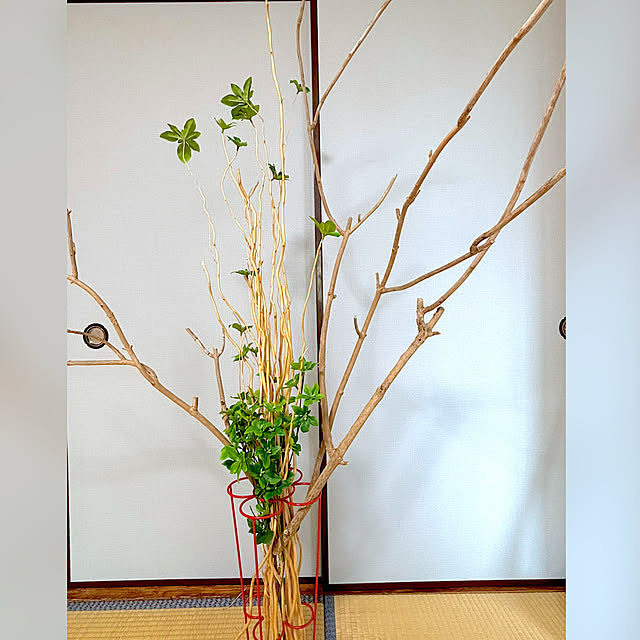 syutmmさんの部屋