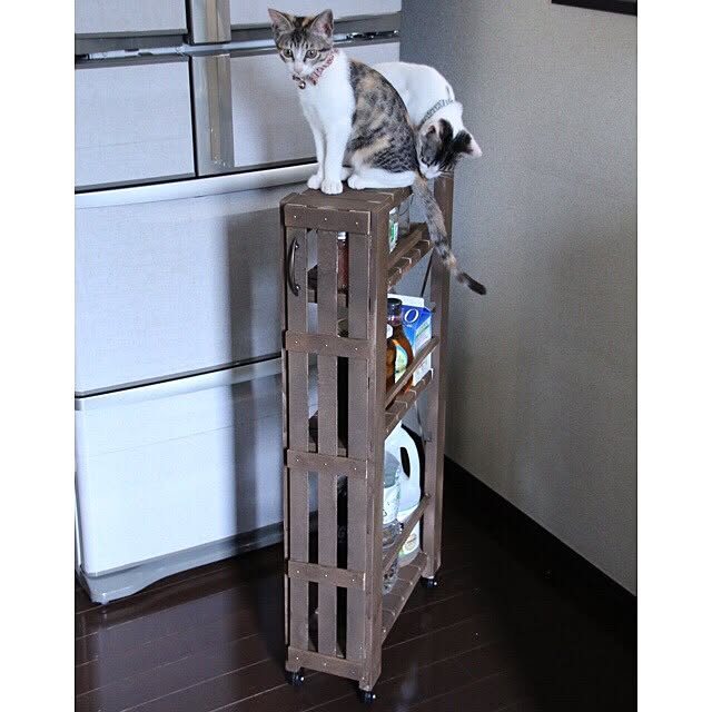 surireraさんの実例写真